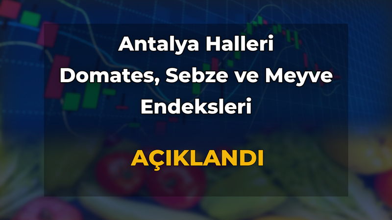 Antalya Ticaret Borsası Temmuz Ayı Hal Endeksini Açıkladı