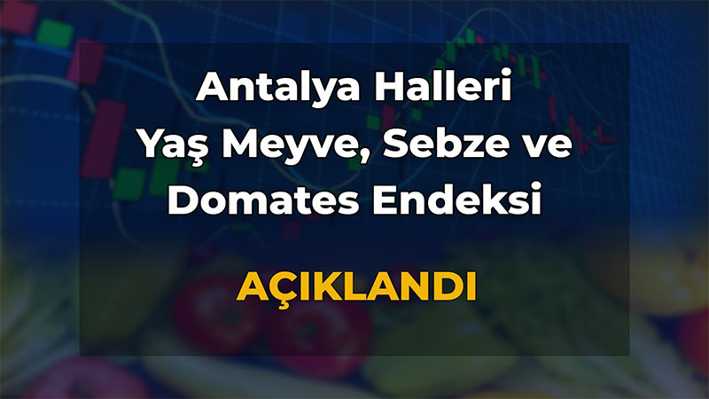 Antalya Ticaret Borsası Ağustos Ayı Hal Endeksini Açıkladı!
